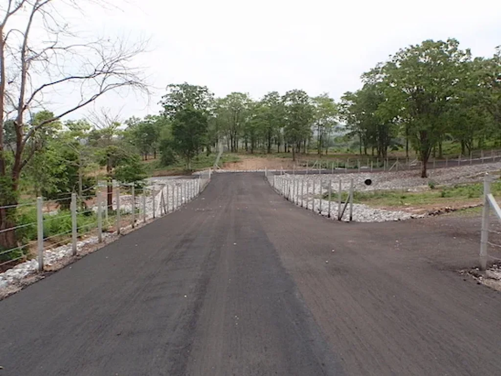 แบ่งขายที่ดินสวยพัฒนาอย่างดี Mount-de-Moray บนที่เนินเขาสูงกว่า 450 เมตร ระดับน้ำทะเล แบ่งขายเหลือเพียง 3 แปลงเท่านั้น