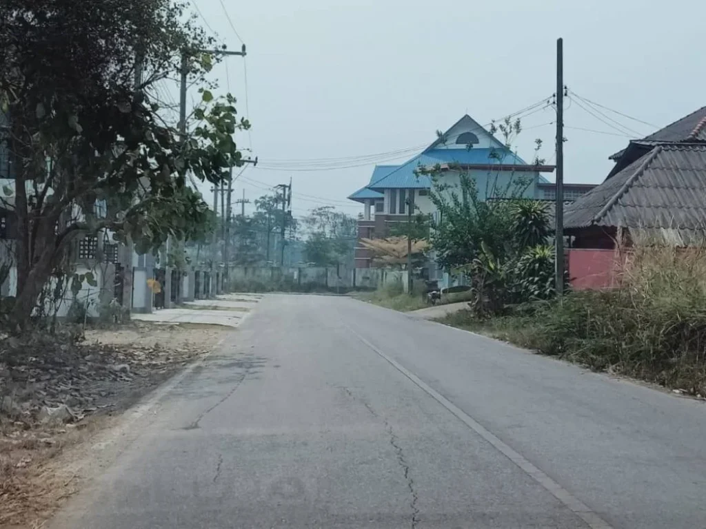 ขายที่ดินติดถนนค้าขายได้ แยกบ่อสร้างต้นเปาสันกำแพงเชียงใหม่