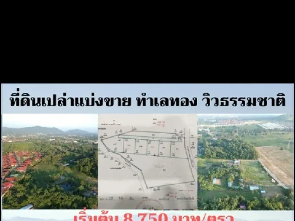 ขายที่ดินเปล่าแนวถนน 332 บางเสร่ สัตหีบ ชลบุรี