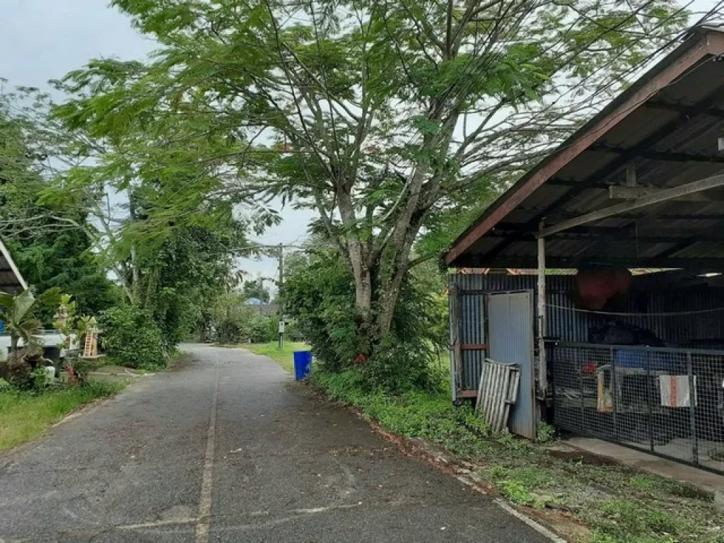 ขาย ที่ดิน ตำบลบ้านน้ำเค็ม อำเภอตะกั่วป่า จังหวัดพังงา