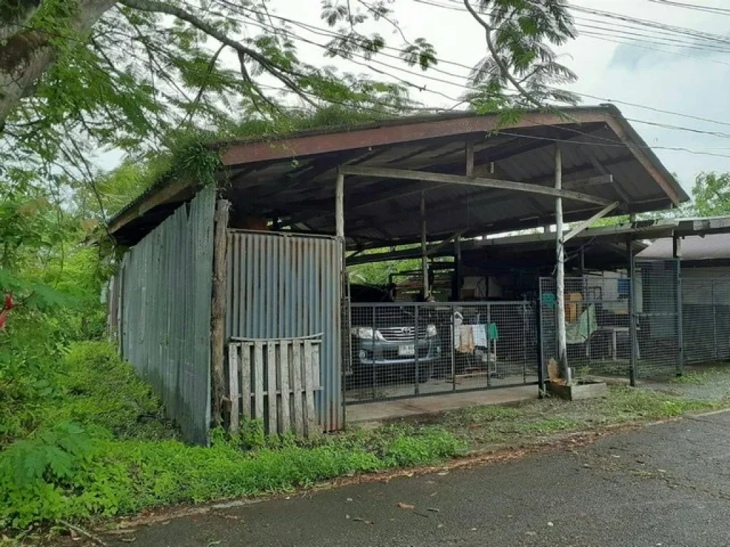 ขาย ที่ดิน ตำบลบ้านน้ำเค็ม อำเภอตะกั่วป่า จังหวัดพังงา