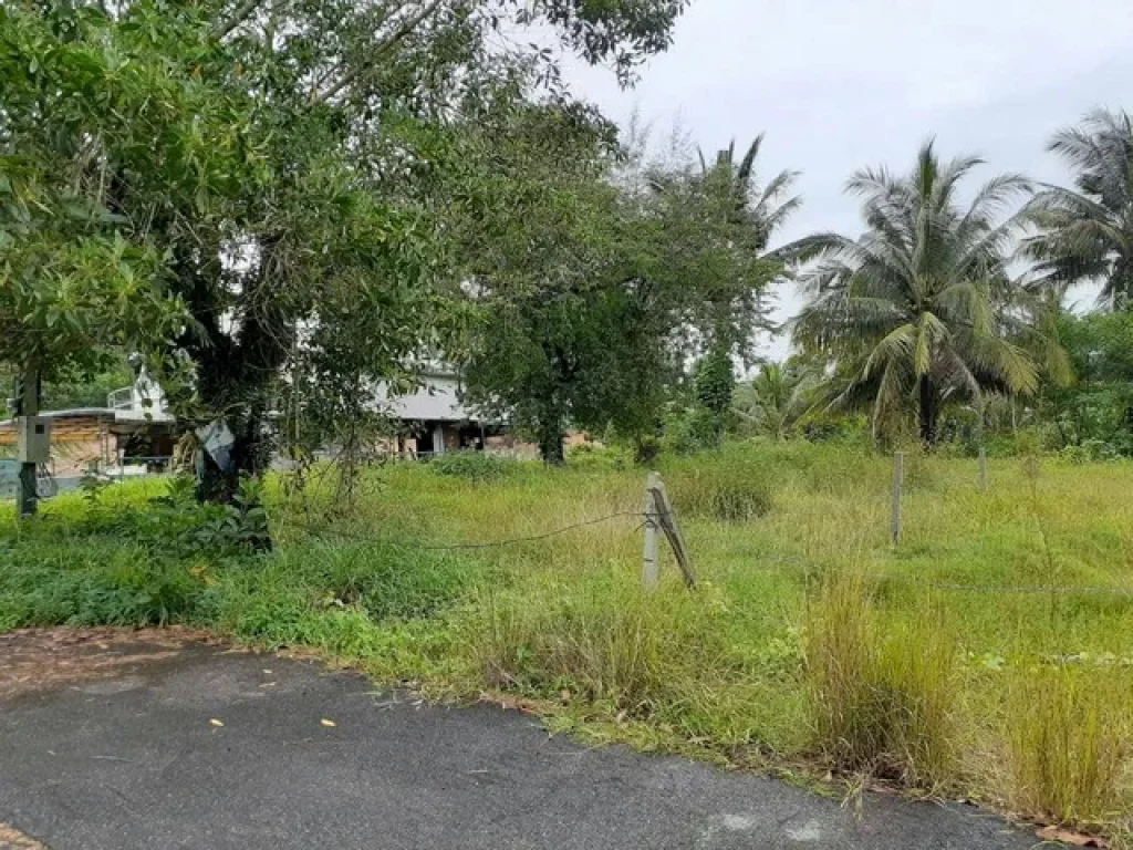 ขาย ที่ดิน ติดคลอง บ้านน้ำเค็ม ตะกั่วป่า พังงา ถูกมาก