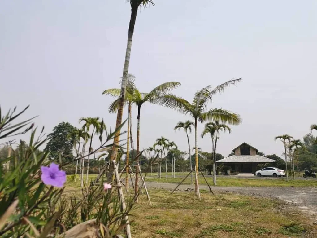 ขายรีสอทร์สันโป่งห่างอำเภอแม่ริมเพียง 5 km