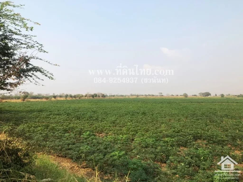 ขายที่ดินหนองม่วง-ขายที่ดินบ่อทอง-ขายที่ดินลพบุรี 35ไร่เศษ นส3ก ตบ่อทอง อหนองม่วง จลพบุรี รหัส L332