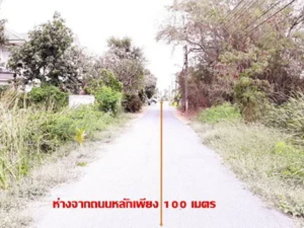 ขายที่ดิน ซวัดสุดใจ18 ถนิมิตรใหม่ เหมาะสร้างบ้านพักอาศัยหรือทำธุระกิจ ขายถูก