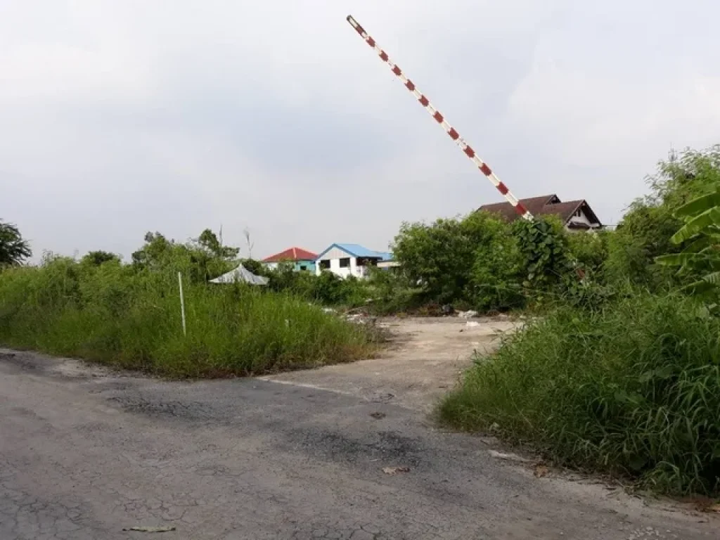 ให้เช่าที่ดิน 7 ไร่ ถมแล้ว ข้างซอยโรงเรียน สตรีสมุทรปราการ ถนนสุขุมวิท พื้นที่สีแดง เช่าระยะสั้น-ยาว