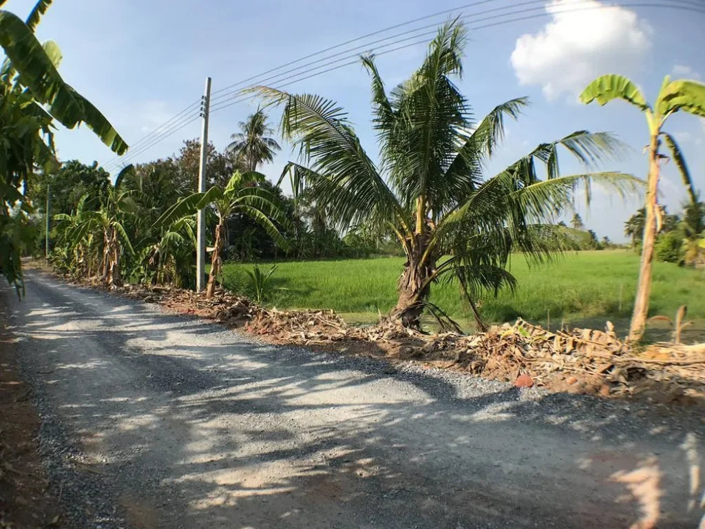 ขายที่ดิน 7 ไร่ คลองนราภิรมณ์ ใกล้มหิดลศาลายา ใกล้มอเตอร์เวย์บางใหญ่ กาญจนบุรี ใกล้ถนนนครอินทร์ ศาลายา