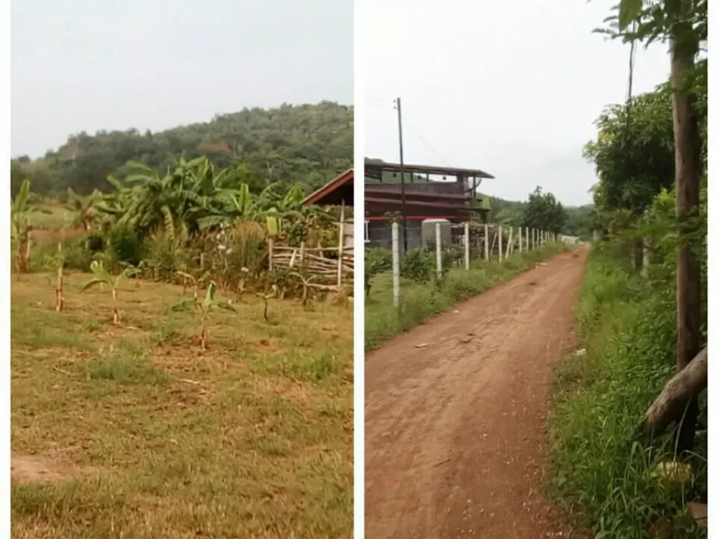 ขายที่ดิน 1 ไร่ วิวเขา แถมบ้านน้ำไฟฟ้าพร้อม