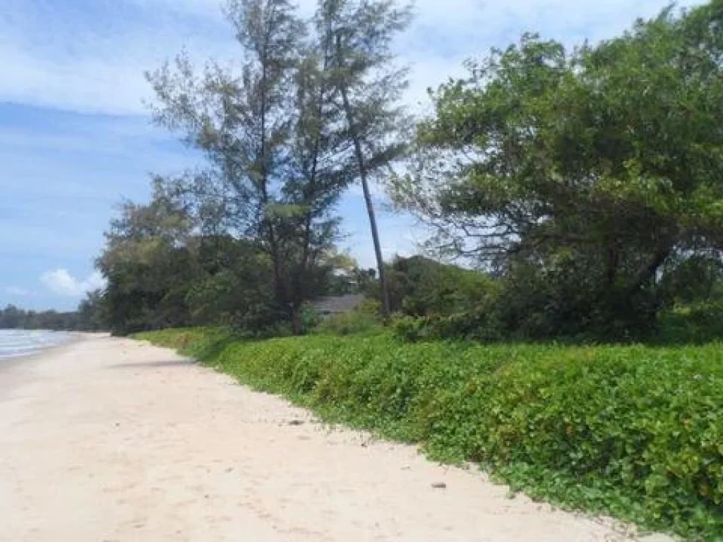 ขายที่ดินติดทะเล ชายหาดส่วนตัว ชายหาดขาว น้ำทะเลใส น้ำตื้น โฉนด 2 ไร่