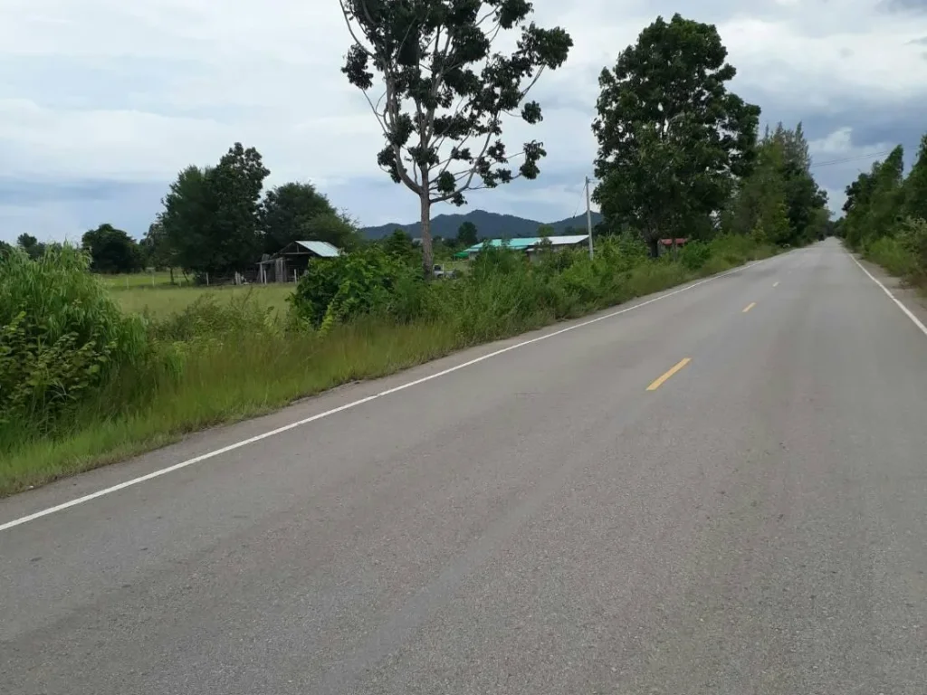 ขายที่ดินสวย5ไร่3งานติดถนนลาดยางไฟฟ้าน้ำสะดวกเหมาะทำการเกษตรขายราคาถูก