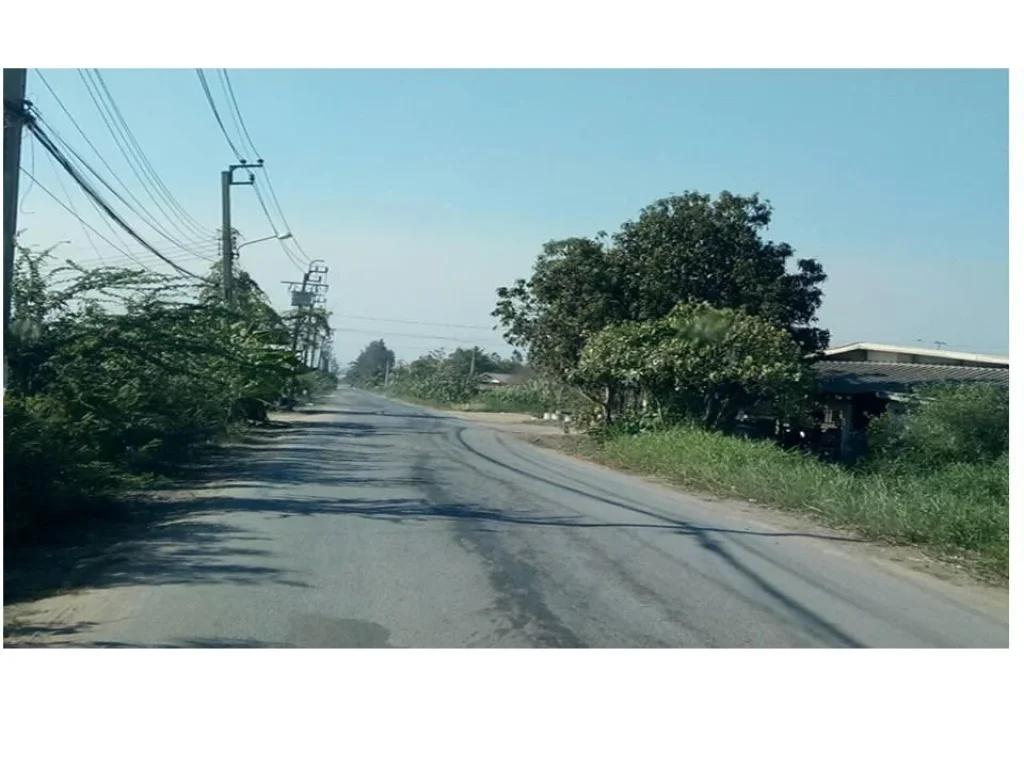 ที่ดินสวยทำเลดี 100 ตรวา ถนนสุวินทวงค์51