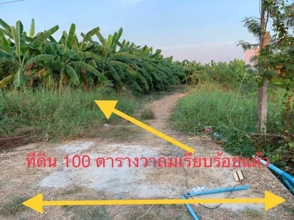 ขายที่ดิน100ตรว ถมเรียบร้อย