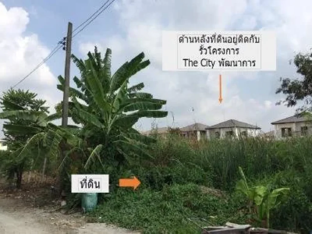 ขายที่ดินขนาด 180 ตรวา ซอยอ่อนนุช  พัฒนาการตัดใหม่ ซอยอ่อนนุช 701