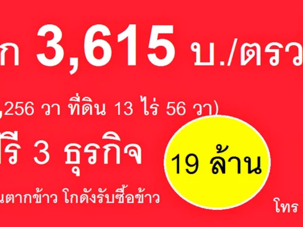 ยกให้ฟรี ฟรี ฟรี 3 ธุรกิจ ขายแค่ที่ดินเอาทุนคืนค่ะ หลานเจ้าของขายเอง 13ไร่ 56 วา