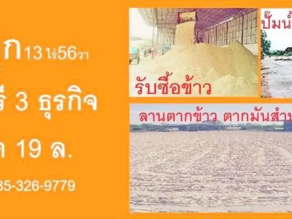 ขายถูกกกกก100 กับที่ดิน 13ไร่ 56 วา แถมฟรี 3 ธุุุุุุุุุุุุุุุุุุุรกิจทำงานต่อได้เลย โปรดติดต่อคุณหมวย085-326-9779