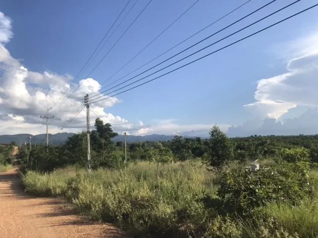 ที่ดินพร้อมโฉนด 10 ไร่ ติดถนนสองด้าน และมีน้ำไฟพ