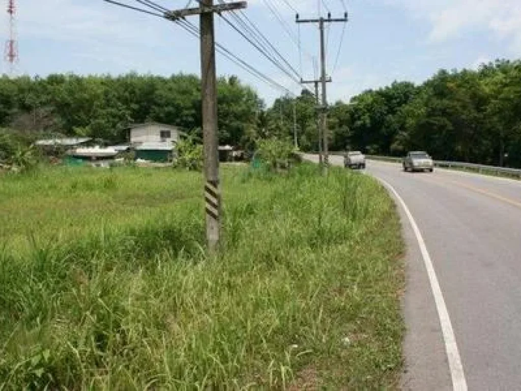 ขายที่ดินเมืองภูเก็ต จังหวัดภูเก็ต