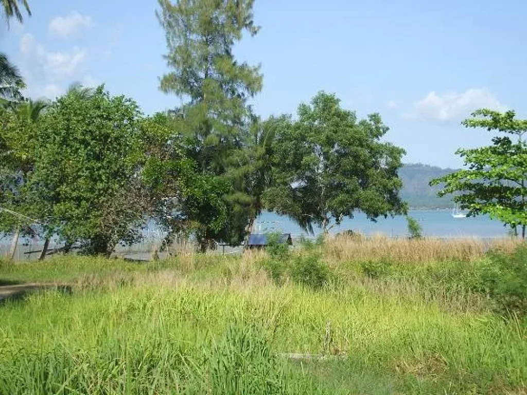 ขายที่ดินติดทะเลใกล้ท่าจอดเรือยอร์ท เฮเว่นสนใจดู