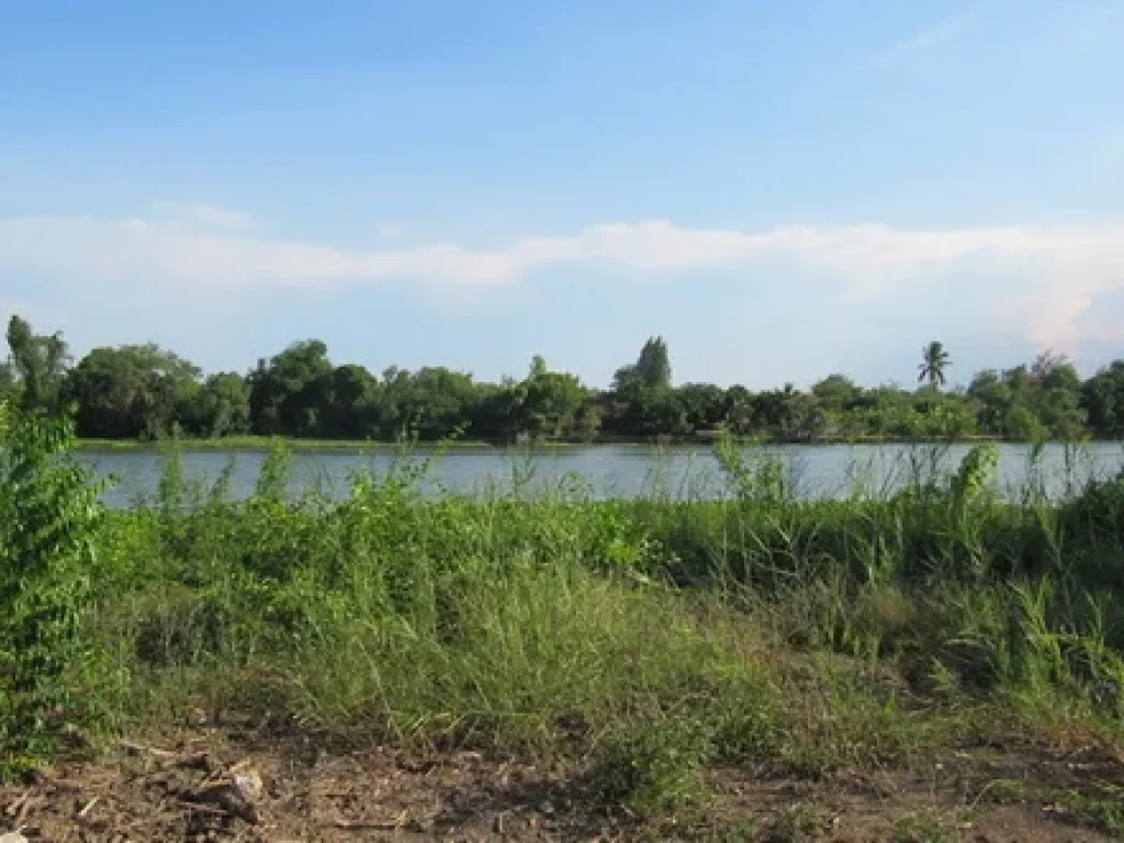 ที่ดินติดแม่น้ำแม่กลอง อยู่ในเขตอำเภอเมืองราชบุรี