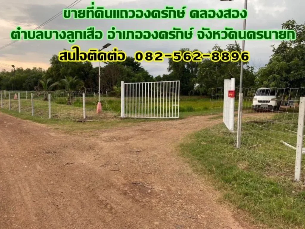 ขายที่ดินแถวองครักษ์ คลองสอง ตำบลบางลูกเสือ อำเภอองครักษ์