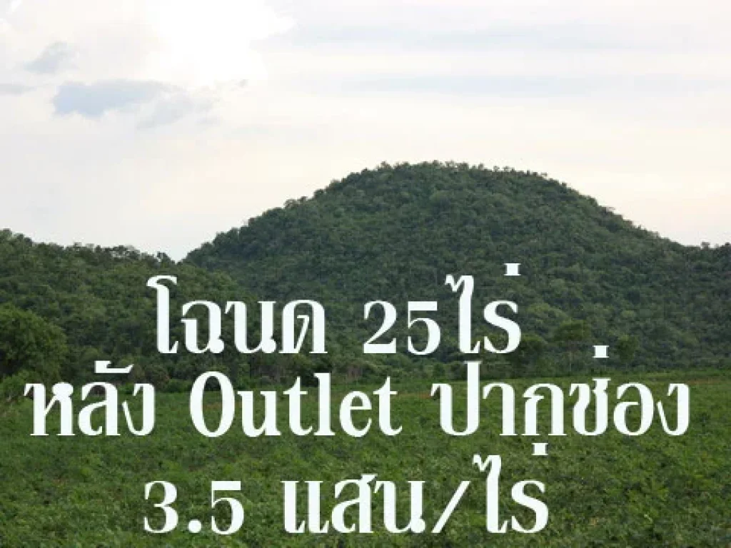 PCH017 ขายที่ดินปากช่อง 25 ไร่ ด้านหลัง Outlet ปากช่อง ที่ดินอยู่บนเนินสวยทั้งแปลง มองเห็นเห็นวิวเขาสลับซับซ้อน