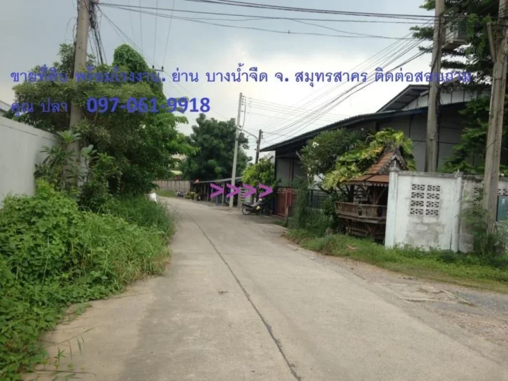 Land and factory for sale Bang Nam Chu district Samut Sakhon Contact Khun Pla 097-061-9918