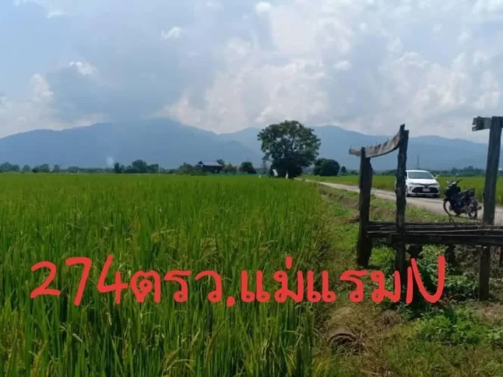 ที่ดินขายถูกแม่ริม247ตรว950000บาท