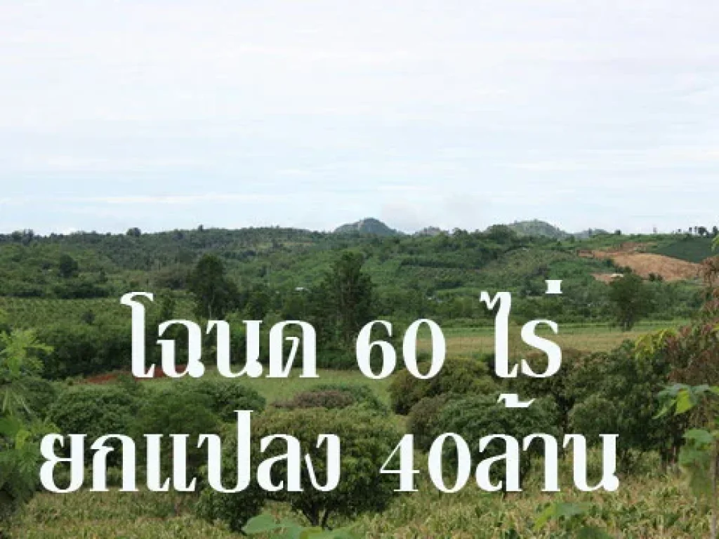 PCH020 ขายที่ดินปากช่อง 60 ไร่ ที่ดินติดถนนดำอยู่บนเนินหลายระดับ สามารถจัดสรรขาย หรือทำ Resort ได้