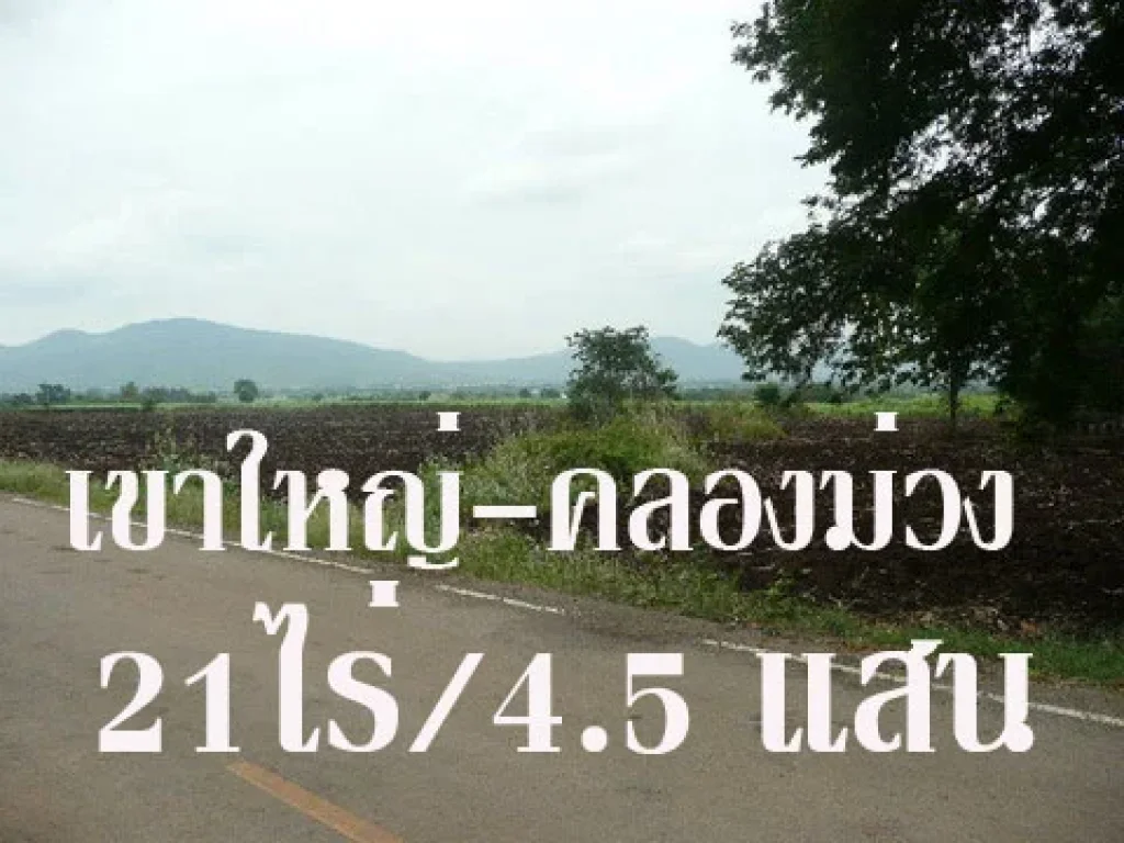 SPO001 ขายที่ดินโฉนด จำนวน 21 ไร่ 1 งาน ที่ดินตั้งอยู่บ้านซับเศรษฐี ตคลองม่วง อปากช่อง ไฟฟ้า น้ำประปา ถนนลาดยาง