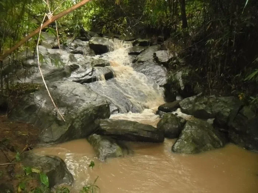 ขายบ้านสวน 10 ไร่ ร่มรื่นติดลำธารธรรมชาติ อากาศเย็นสบายทั้งปี