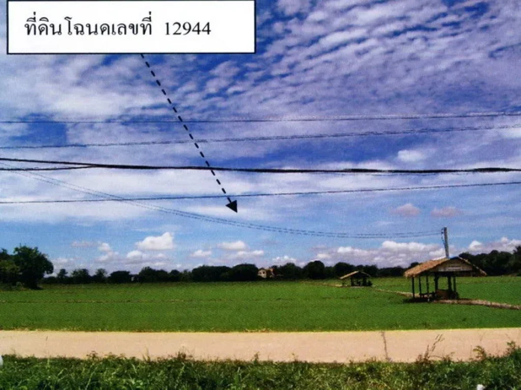 ต้องการขายที่ดิน ตตำบลวัดพริก ออำเภอเมืองพิษณุโลก จังหวัดพิษณุโลก