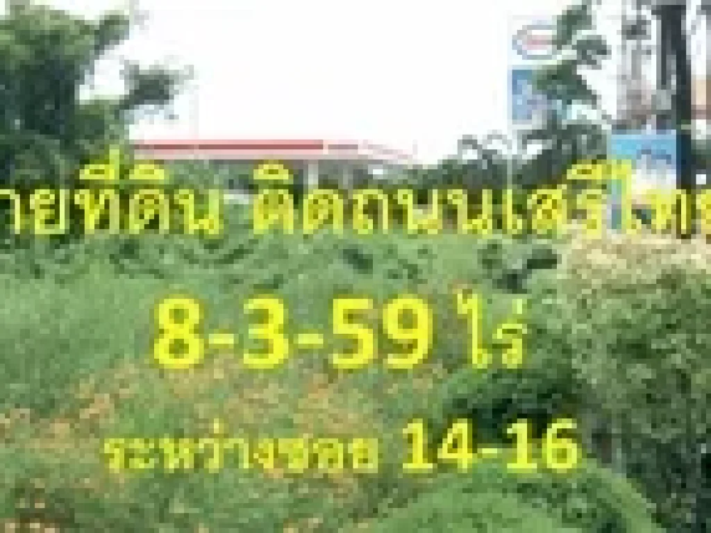 ต้องการขาย ที่ดิน ติดถนนเสรีไทย ระหว่างซอย 14-16 8-3-59 ไร่