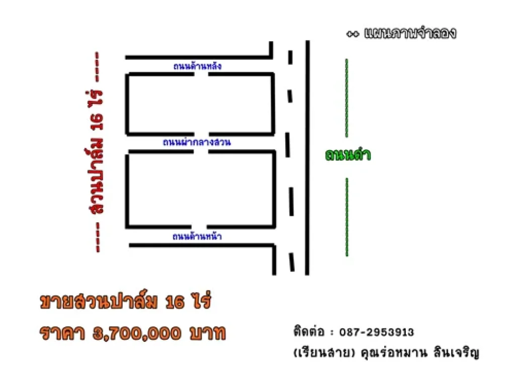 ขายสวนปา์ล์ม 16 ไร่ ด่วน ติดถนนดำ