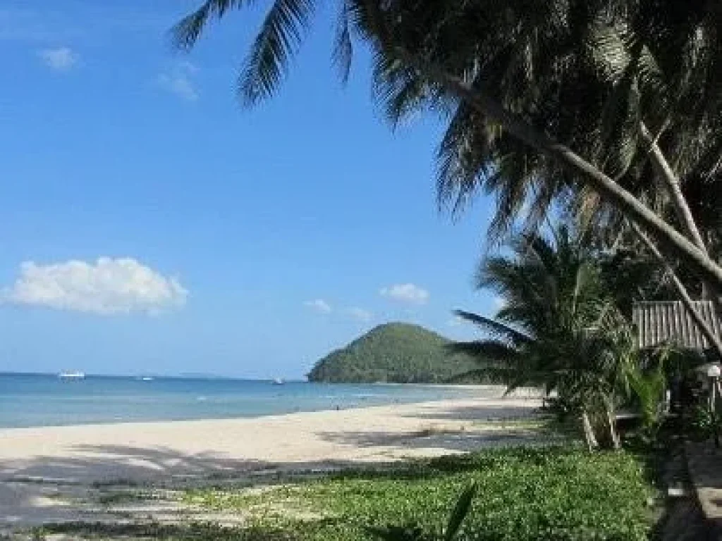 ขายที่ดินใกล้ชายฝั่งทะเลราคาถูกใกล้หาดทุ่งวัวแล่นชุมพรใกล้ตะวันฉายรีสอร์ท185เมตรห่างจากสถานีเพาะเลี้ยงสัตว์นํ้าชายฝั่ง 138กมบรรยากาศดีเดินทางสะดวก