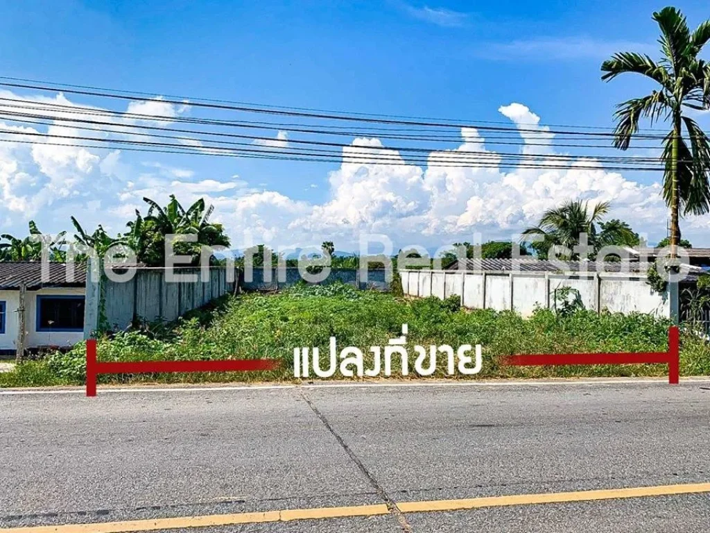 ขายที่ดินติดถนนใหญ่ ตำบลขุนคง อำเภอหางดง จังหวัดเชียงใหม่