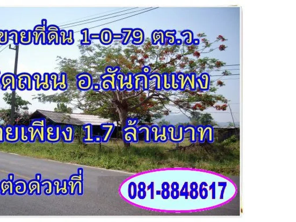 ขายที่ดินติดถนนบ้านร้องวัวแดงใกล้ อสันกำแพง จเชียงใหม่