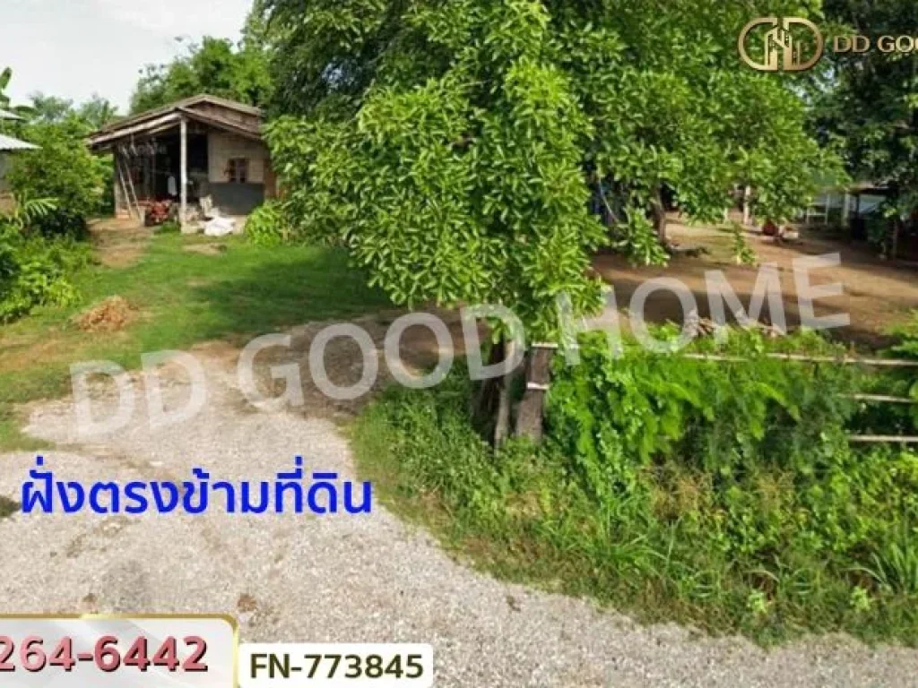 ที่ดินเมืองพิษณุโลก 3 ไร่ 1836 ตรว ใกล้ อบตวังน้ำคู้