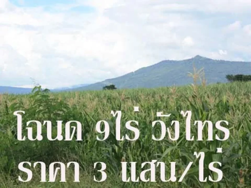 PCH044 ขายที่ดินวังไทร โฉนด 9 ไร่