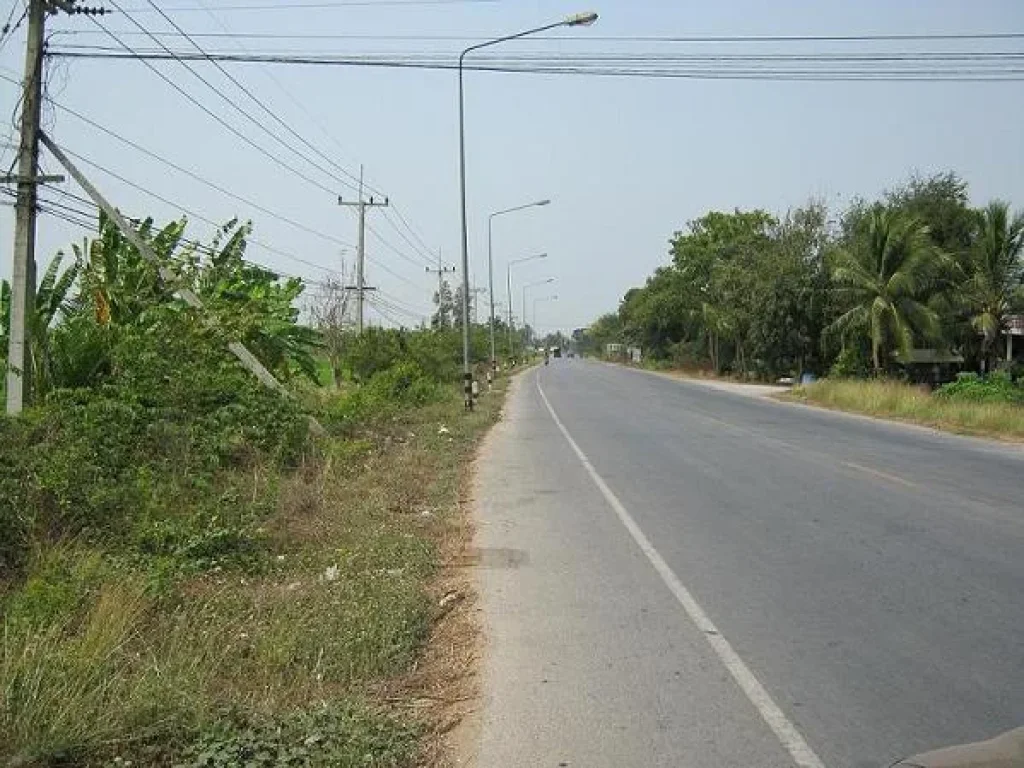 ขายที่ดินอำเภอเมืองสุพรรณ 165 ไร่ 95000 บาท 95000 บาทต่อไร่