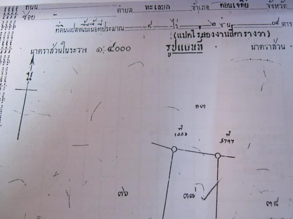 ขายด่วนที่ดิน ดอนเจดีย์ 8 ไ ร่ 2 งาน 65000 บาทต่อไร่