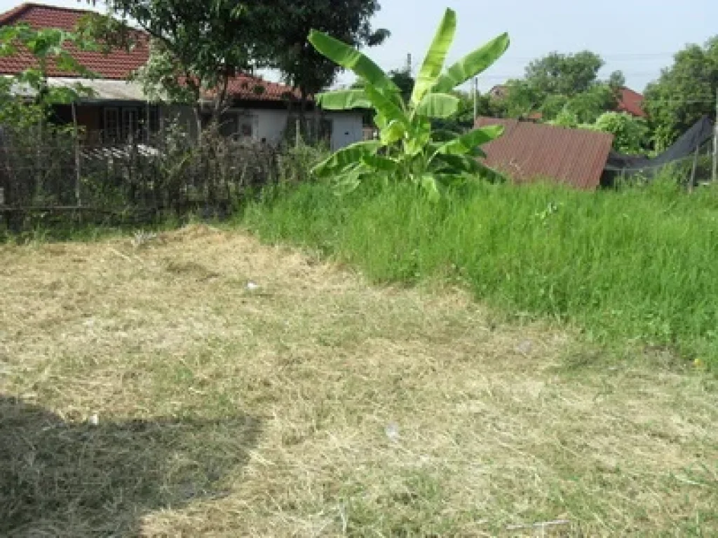 ที่ดินบ้านบ่อหินดอยสะเก็ด  เชียงใหม่