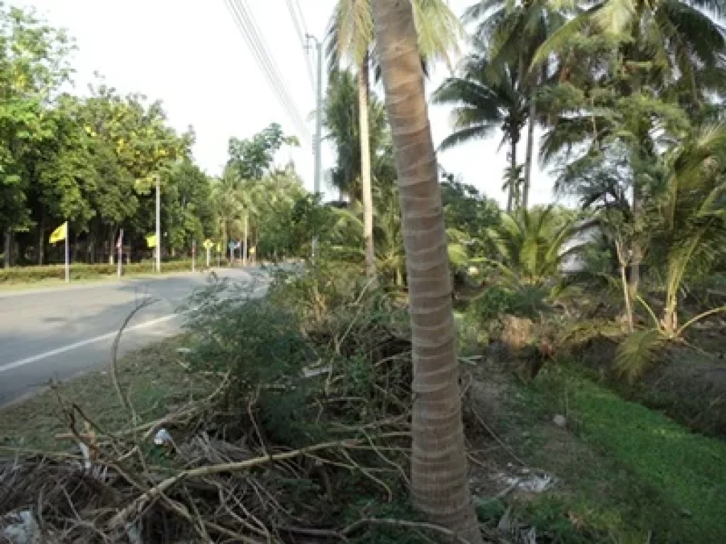 ขายที่ดินจังหวัดสมุทรสงคราม