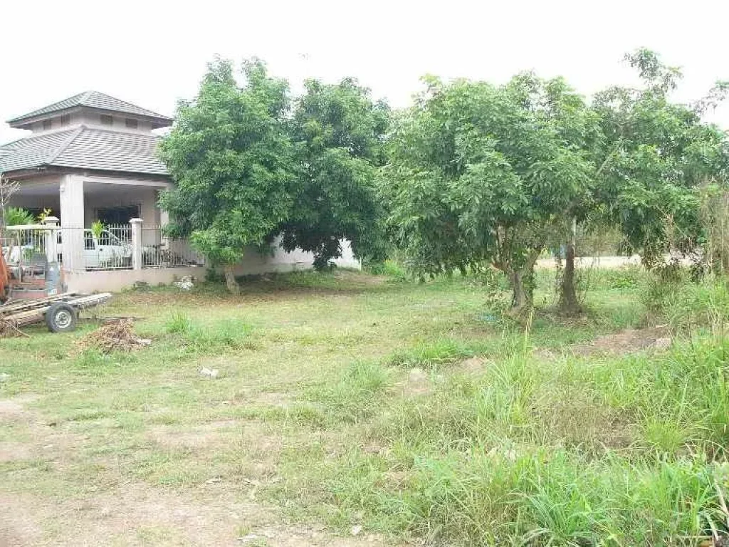 ขายที่ดิน 100 ตรว อยู่ห่างถสุขุมวิท ประมาณ 300 ม หลังสรรพวุธทหารเรือสัตหีบ ใกล้มนาวีเฮ้าส์