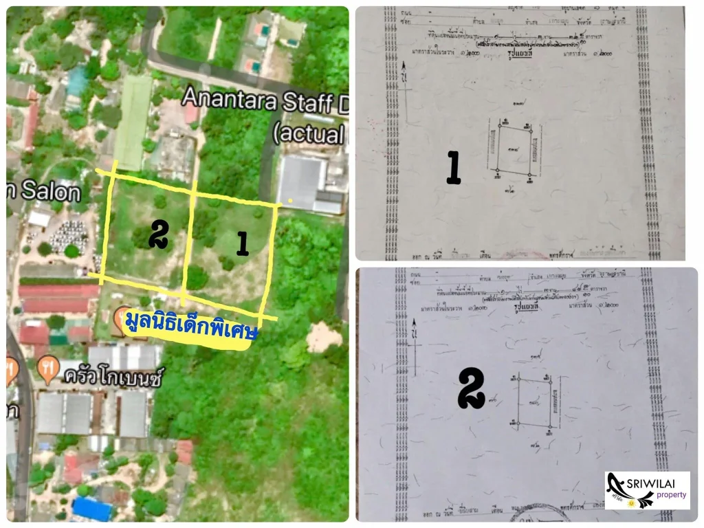 ขายที่ตรงสนามบินเกาะสมุย 1ไร่3งาน 55ตรว