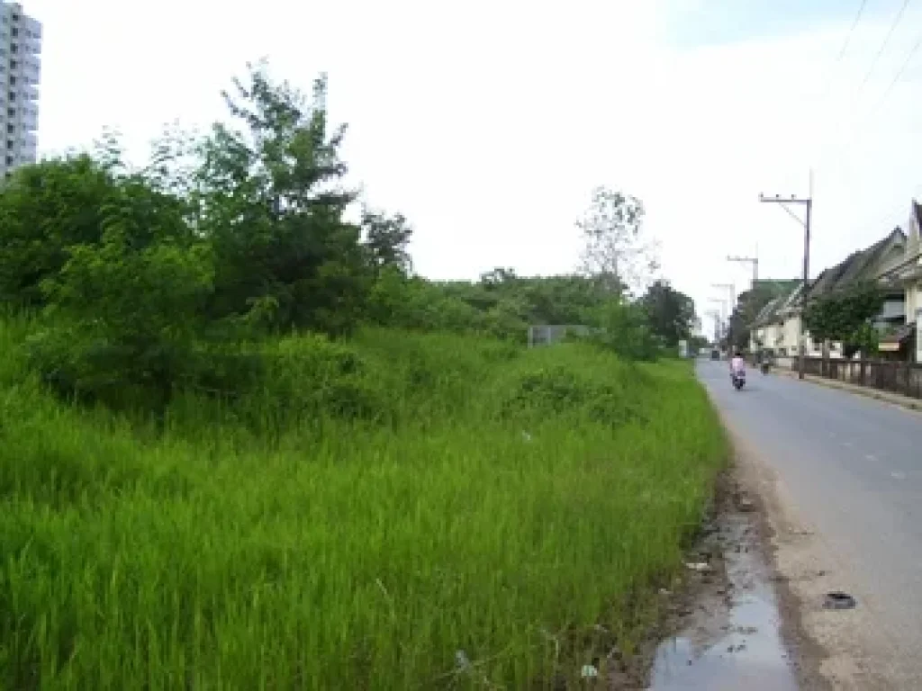 ขายที่ดิน 4 ไร่ติดถนนเพชรเกษมสายหลักใกล้ สามแยกคอหงส์ หาดใหญ่ สงขลา