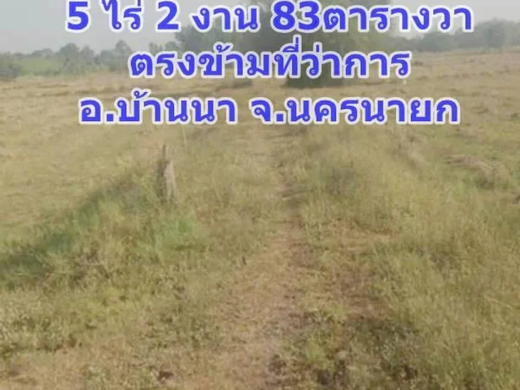 ขายที่ดิน จังหวัดนครนายก บ้านนา 5ไร่ 2งาน 83ตรว ตรงข้ามที่ว่าการ ซโรงแรมดวงตะวัน โทร 0812931531