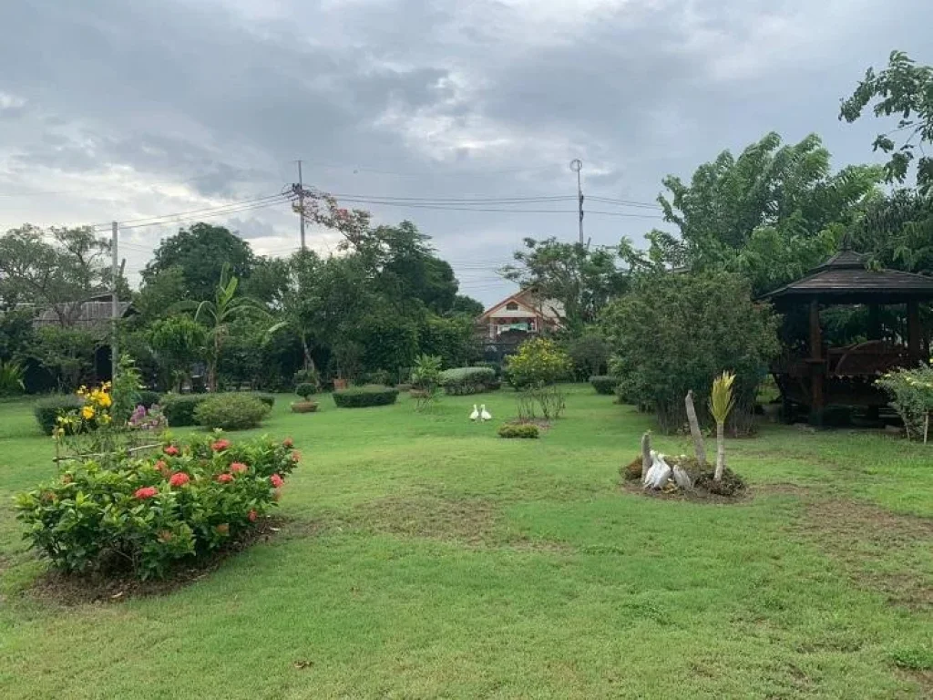 ที่ดินพร้อมสวนไม้ผลติดคลองสำโรงและติดถนนทั้งสองด้าน ทำเลดี วิวสวย