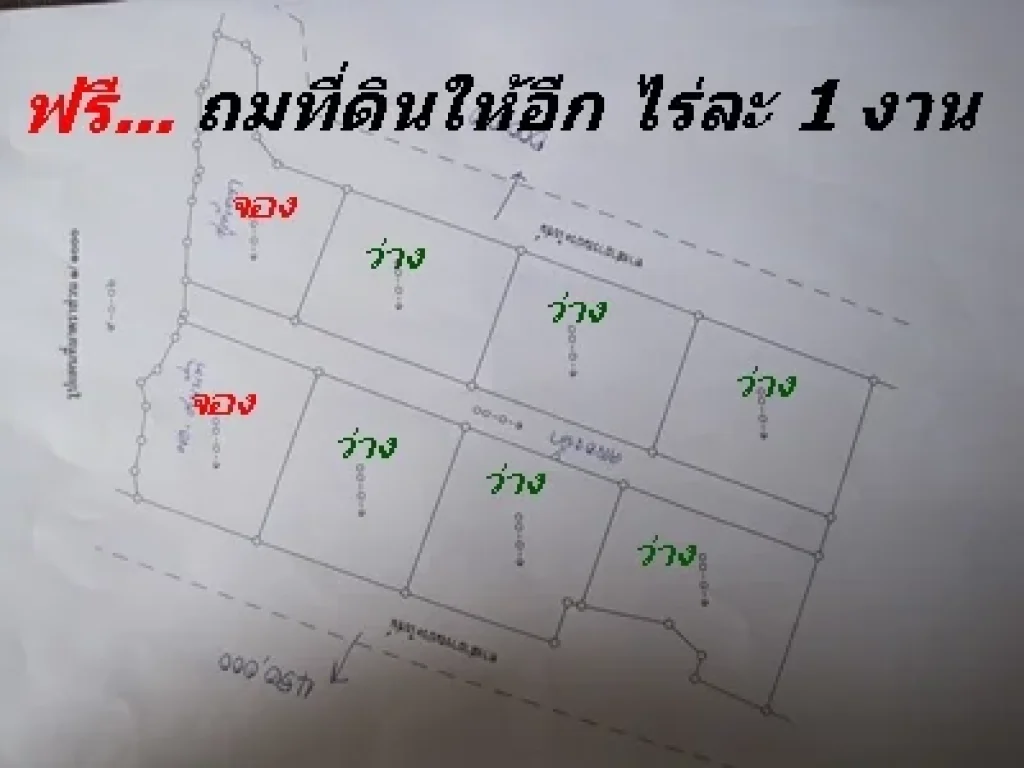 จ สระบุรี ที่ดิน8ไร่