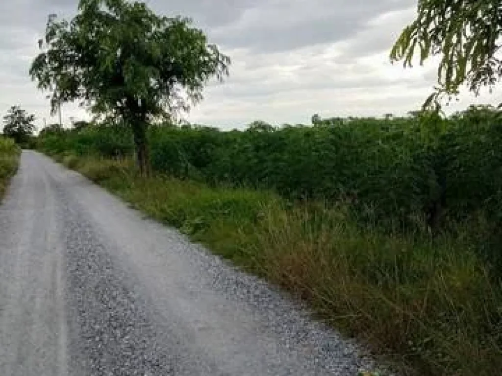 ที่ดิน 41ไร่ ตสระกระโจม อดอนเจดีย์ สุพรรณบุรี