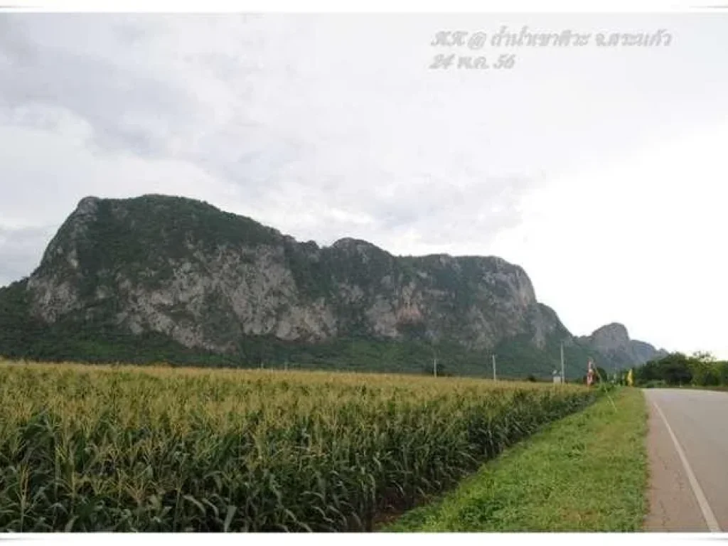 ต้องการขายสวนยางติดถนน18ไร่ อคลองหาด จสระแก้ว ด่วนที่สุดเจ้าของขายเอง